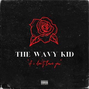 If I Don't Have You (Explicit)