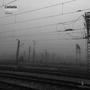 Driving Percs (Darkflower Edit)