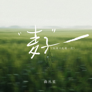 曲丛星 - 麦子 (如果只扎根一次)