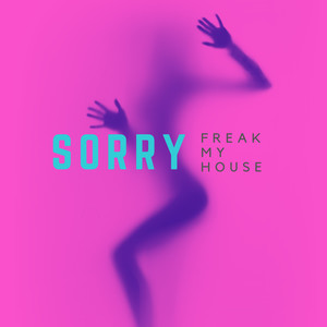 Sorry (Chicks Gone Wild Remix)