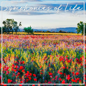 Symphonies Of Life, Vol. 7