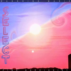 Select (feat. Pink Narcissist)