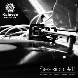 Kaleydo Records Session #11 (Continuous DJ Mix)