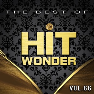 Hit Wonder: The Best Of, Vol. 66