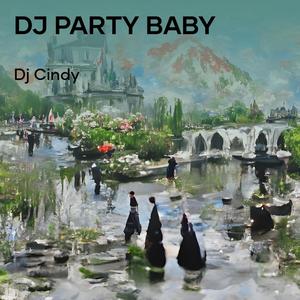 Dj Party Baby (Remix)