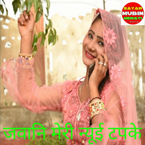 Ja Ki Jarurat Mohe De Ja Meri Jaan