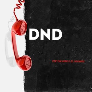 DND (feat. J$ youngin) [Explicit]