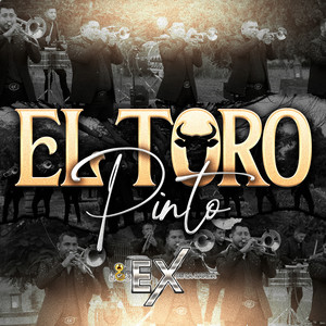 El Toro Pinto