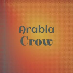 Arabia Crow