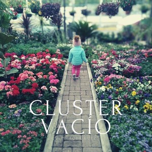 Cluster Vacío