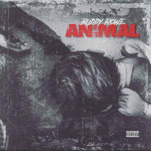 Animal (Explicit)