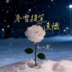 冬雪提笔写遗憾