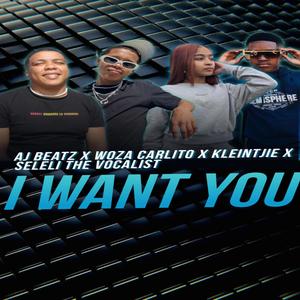 I Want You (feat. Aj Beatz, Kleintjie & Seleli The Vocalist) [Explicit]