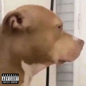 Mike Vick (Explicit)