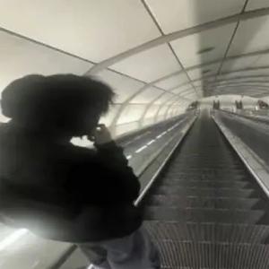 still fly (Explicit)