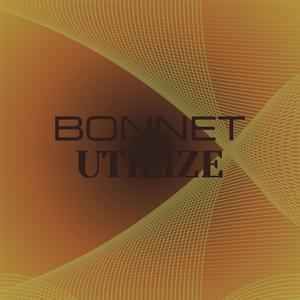 Bonnet Utilize