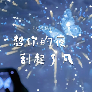 想你的夜刮起了风