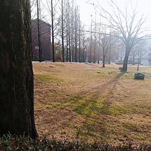 Paula DeAnda-星星女孩villain. J (张泽宇 remix)