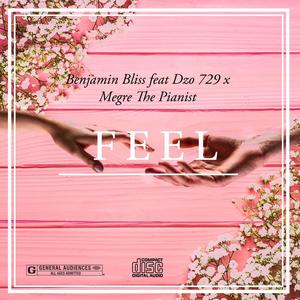 Feel(feat. Dzo 729 & Megre The pianist)