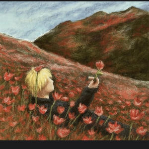 where did i go wrong!