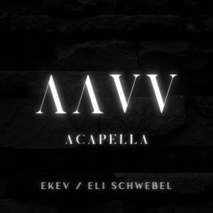 AAVV (Acapella)