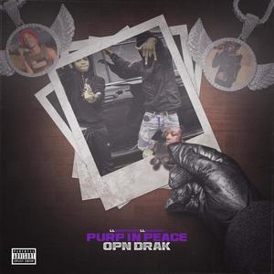 PURP IN PEACE(feat. SAY 10 & Dsmg Mally) (Explicit)