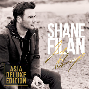 07-06 歌词 i cant make you love me - shane filan (尚恩·菲南)