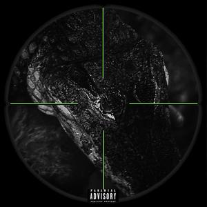 En la mira (feat. Young Gallo, Teresuki & KaribeYung) (Explicit)