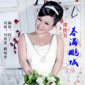 春满鹏城