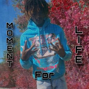 Moment 4 Life (Explicit)