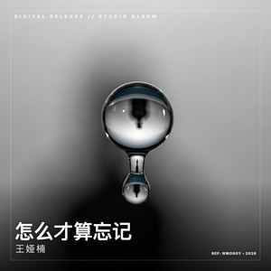 怎么才算忘记-王娅楠