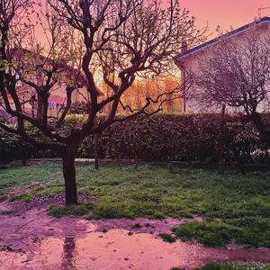 True Story (Explicit)