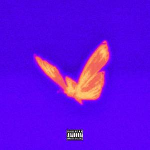 A Thousand Nights (Explicit)