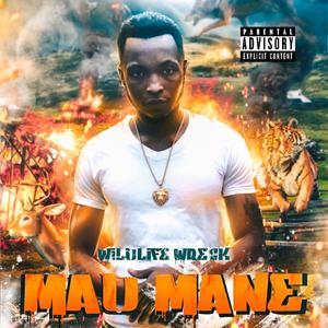 Mad Mane (Explicit)