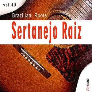 Sertanejo Raiz, Vol. 40