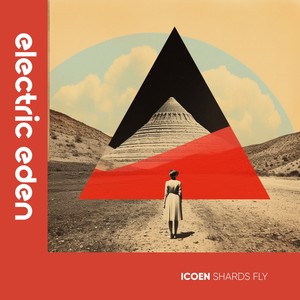ICoen - Shards Fly