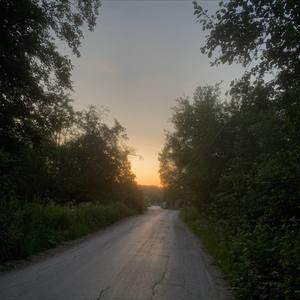 Tokyo fragrance (Explicit)