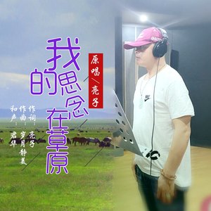 我的思念在草原