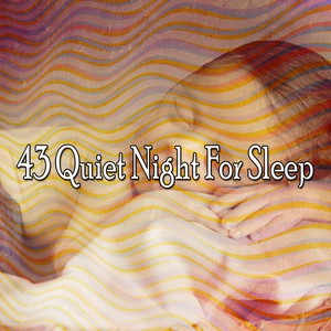 43 Quiet Night for Sle - EP