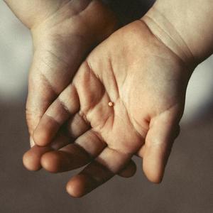 With Map And Hope(feat. We Dream Of Eden & Patrick Spatz)