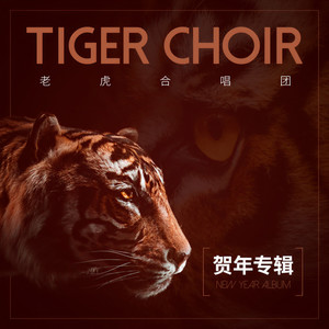 齐齐贺下你&恭喜发财迎新春 (伴奏)