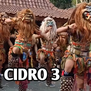 CiDRO 3