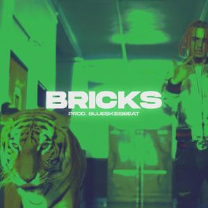 Bricks