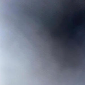 SWAMP FOREVER (feat. grimbot & unogerk) (Explicit)