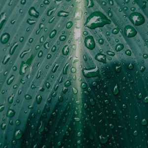 Hamba Kancane (Explicit)