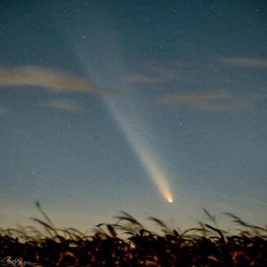 N0 0THER L0VER BUT ME (Explicit)