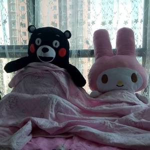 方圆几里封面