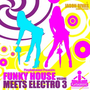 Funky House Meets Electro (Volume 3)