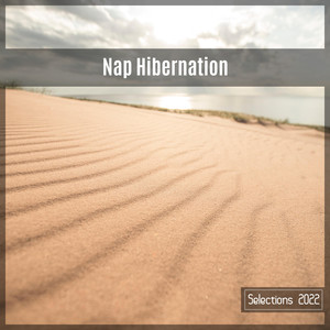 Nap Hibernation Selections 2022