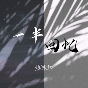 一半回忆封面